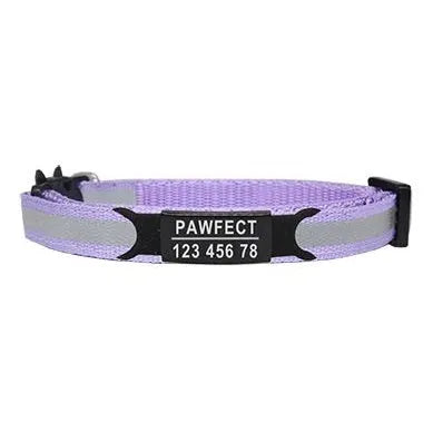collier pour chat gravé