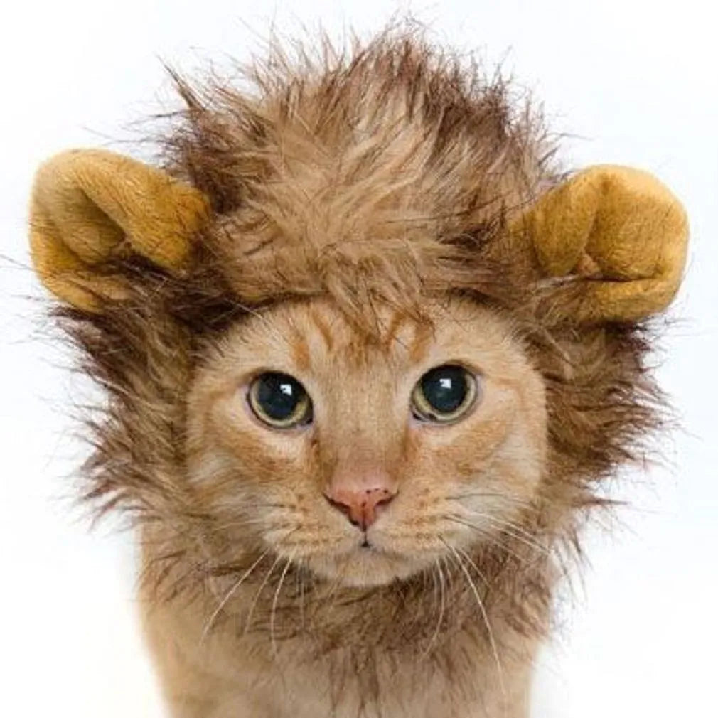 Crinière de Lion pour Chat – Costume Roi de la Jungle - Orange | Chic et Chat