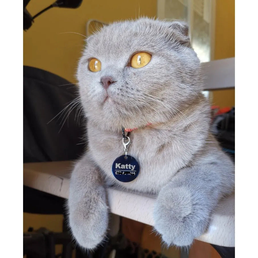 colgante para gato bonito | Chic et Chat