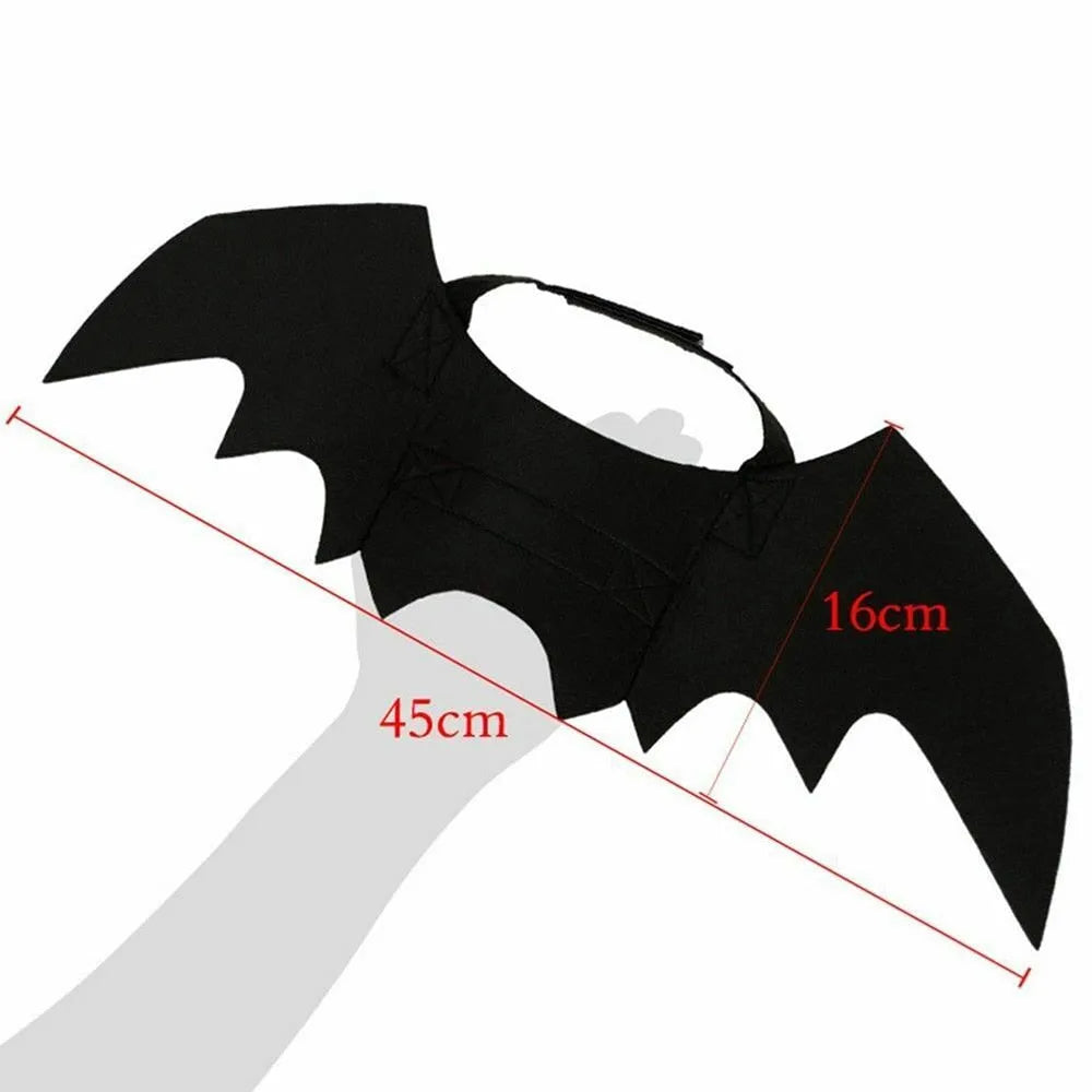 taille accessoire de déguisement pour chat chauve souris