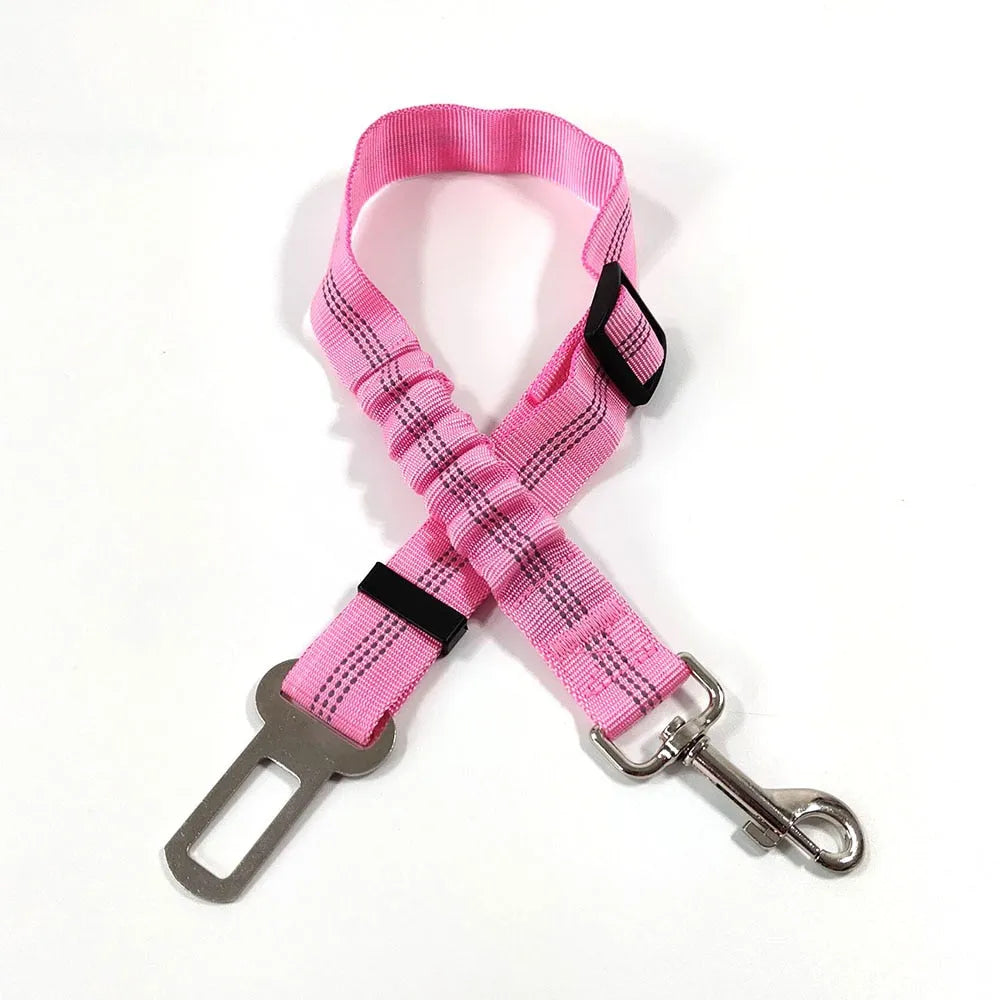 superbe laisse pour chat rose