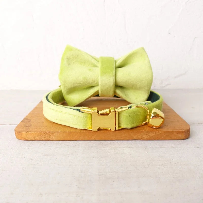 Personalisiertes Katzenhalsband in Gelb und Gold | Chic et Chat