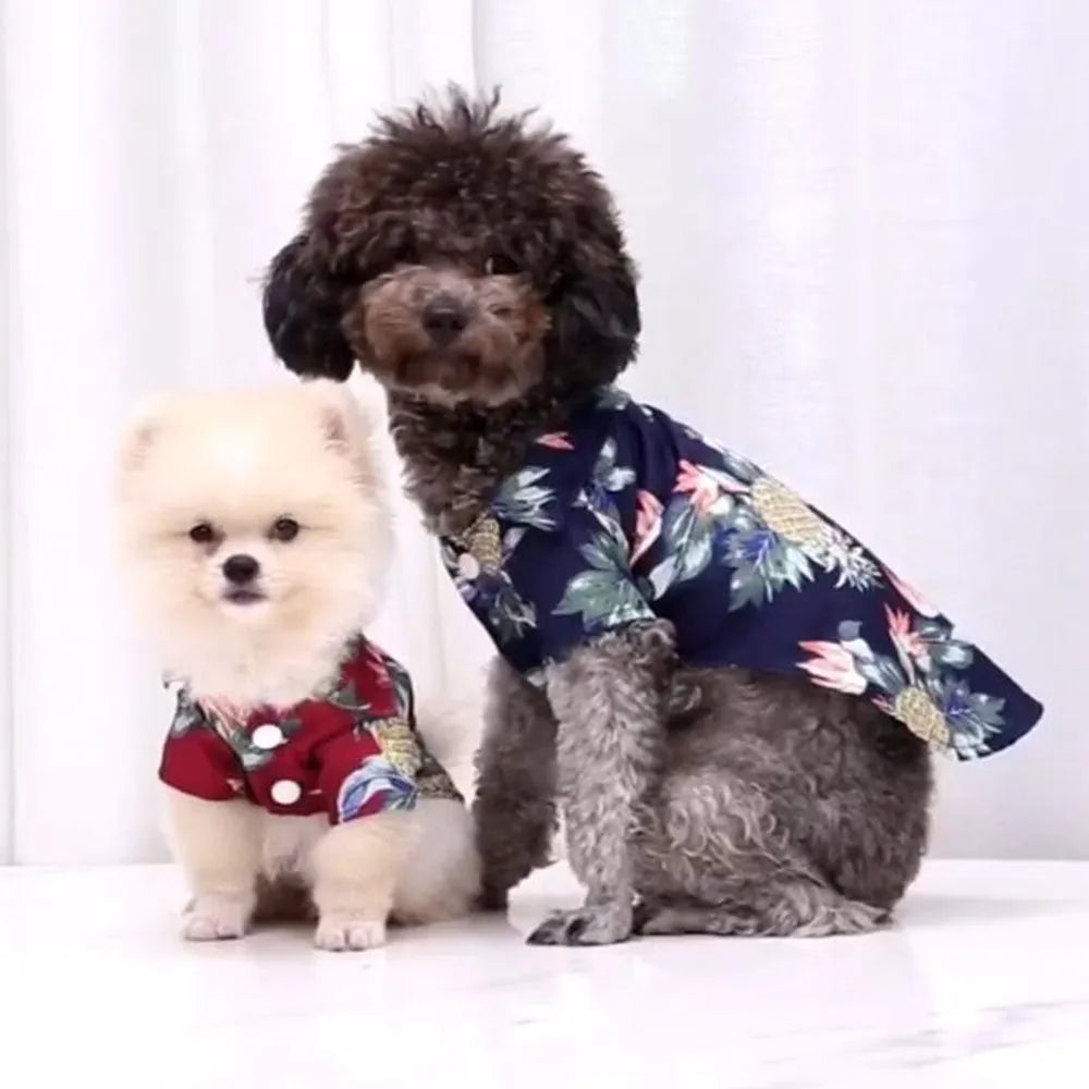 tshirt hawaii pour chat et chiens