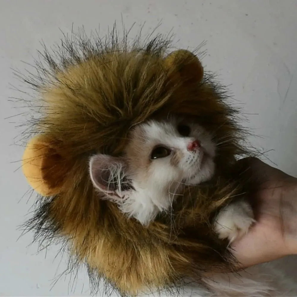 déguisement chat lion 4 | Chic et Chat
