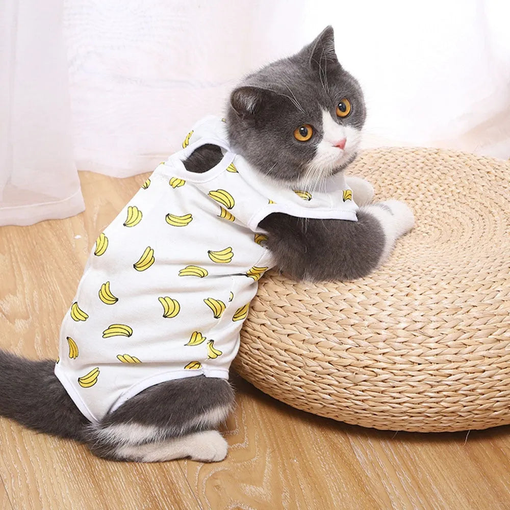 body postoperatorio gato plátano | Chic et Chat