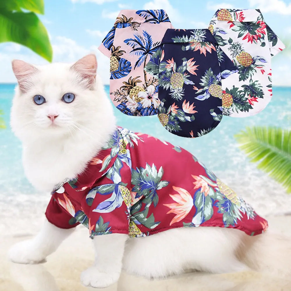tshirt hawaii pour chat