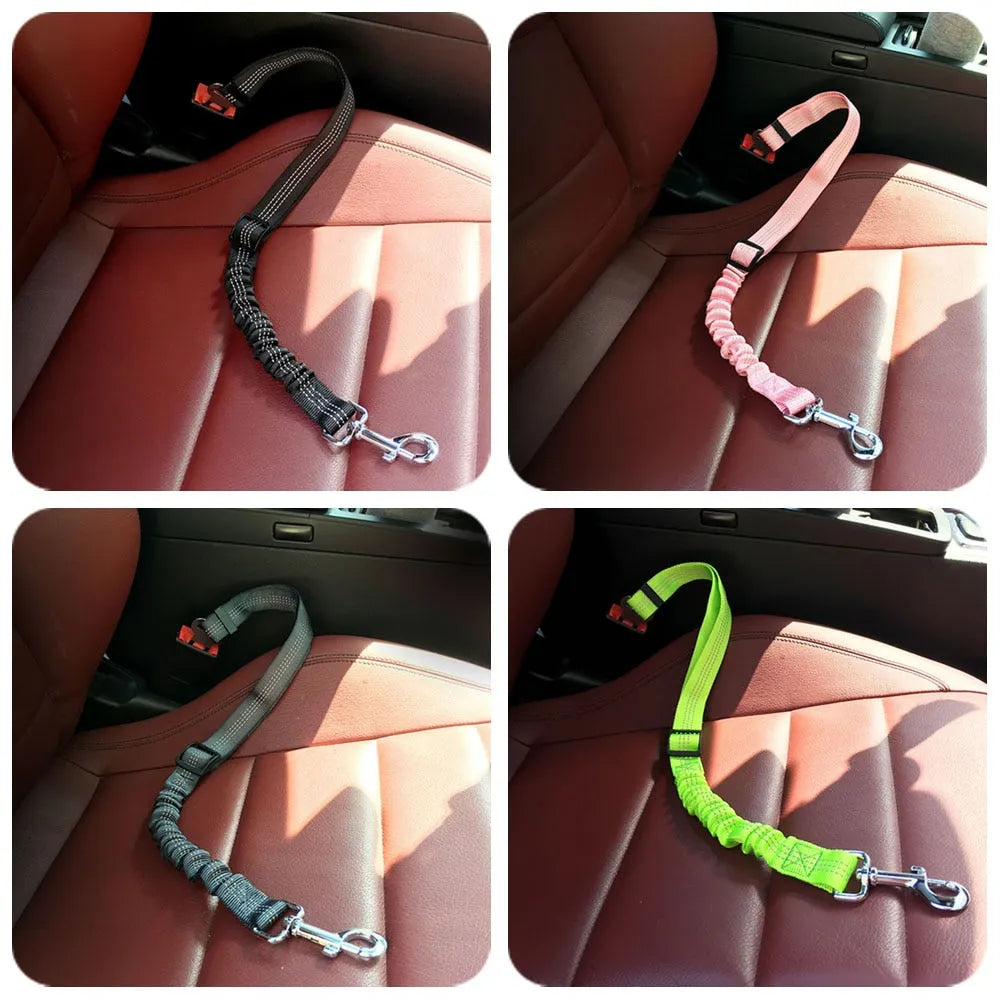 Cat leash that clips into a car seat belt | Chic et Chat
