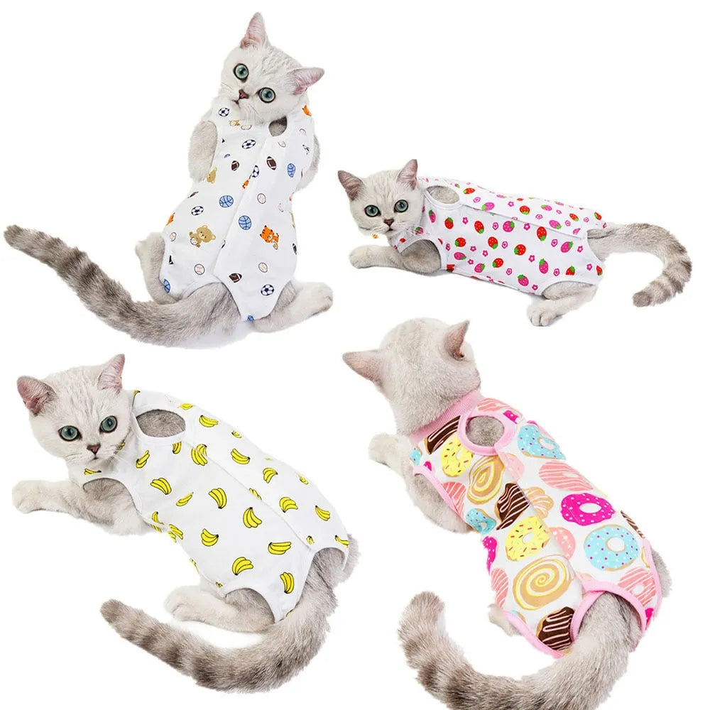 vêtement récupération pour chat