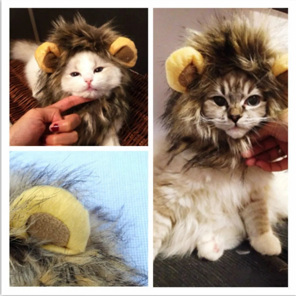 déguisement pour chat, costume de lion, chic&chat | Chic et Chat