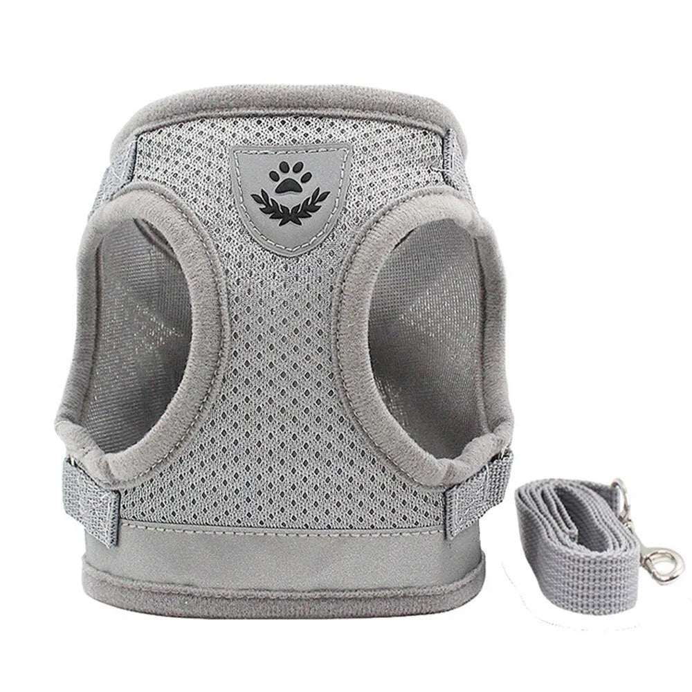 Practical gray cat harness | Chic et Chat