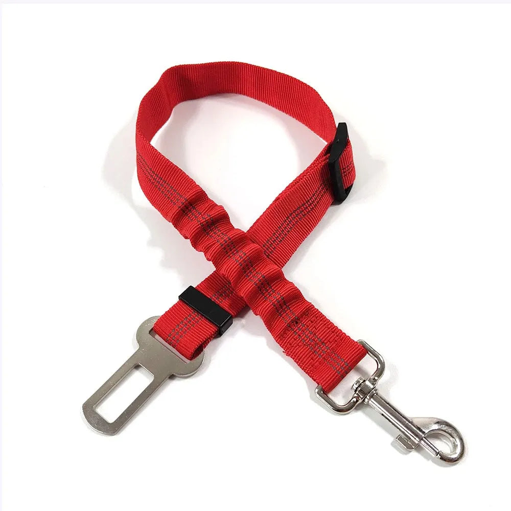 Gorgeous red cat leash | Chic et Chat
