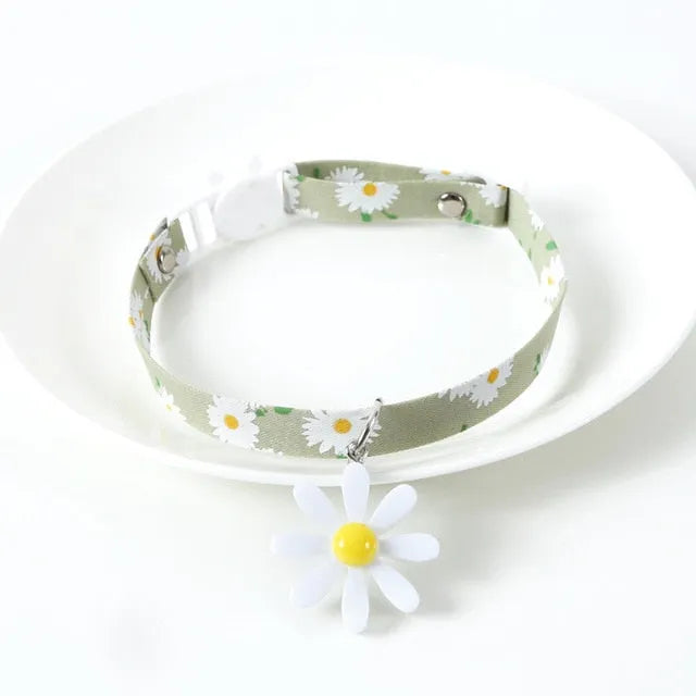 Collier pour chat fleur vert