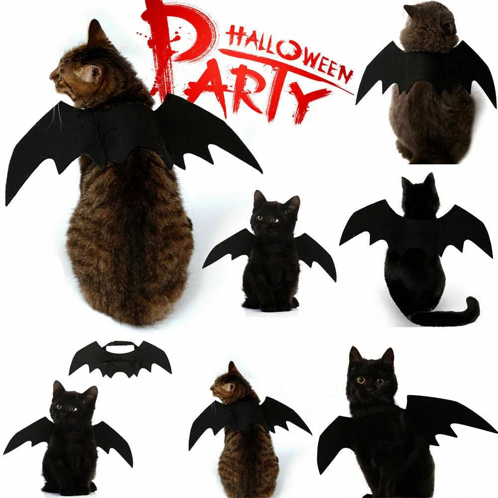 Bat cat costume | Chic et Chat
