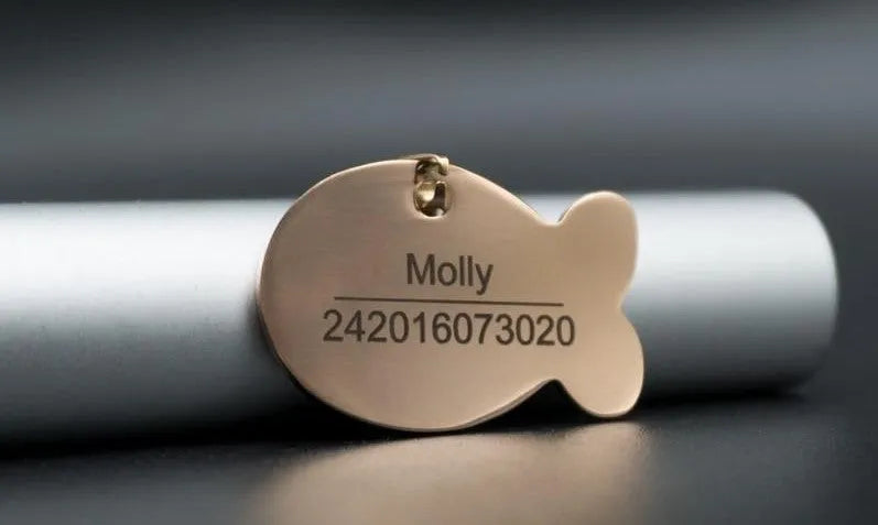 médaille or gravée chat collier