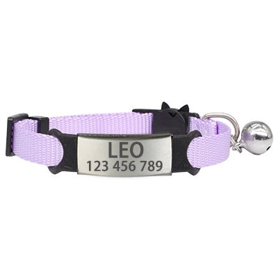 collier violet pour chat anti étranglement