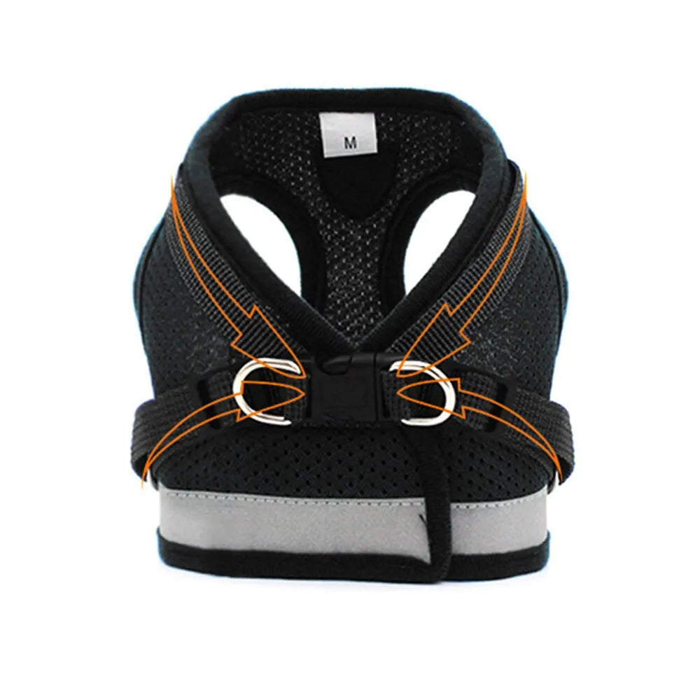 Practical black cat harness | Chic et Chat