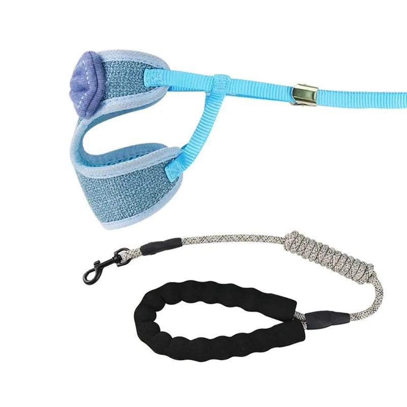 Luxus-Katzengeschirr mit Fliege in Blau | Chic et Chat