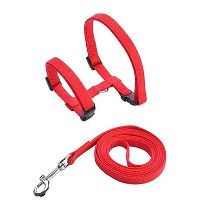 Red cat leash | Chic et Chat