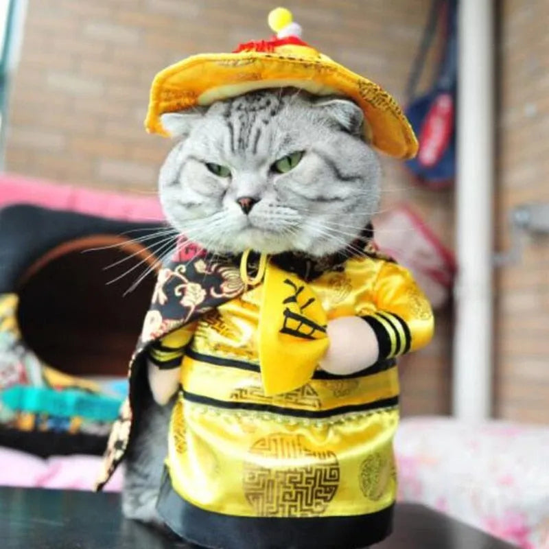 Emperor cat costume | Chic et Chat