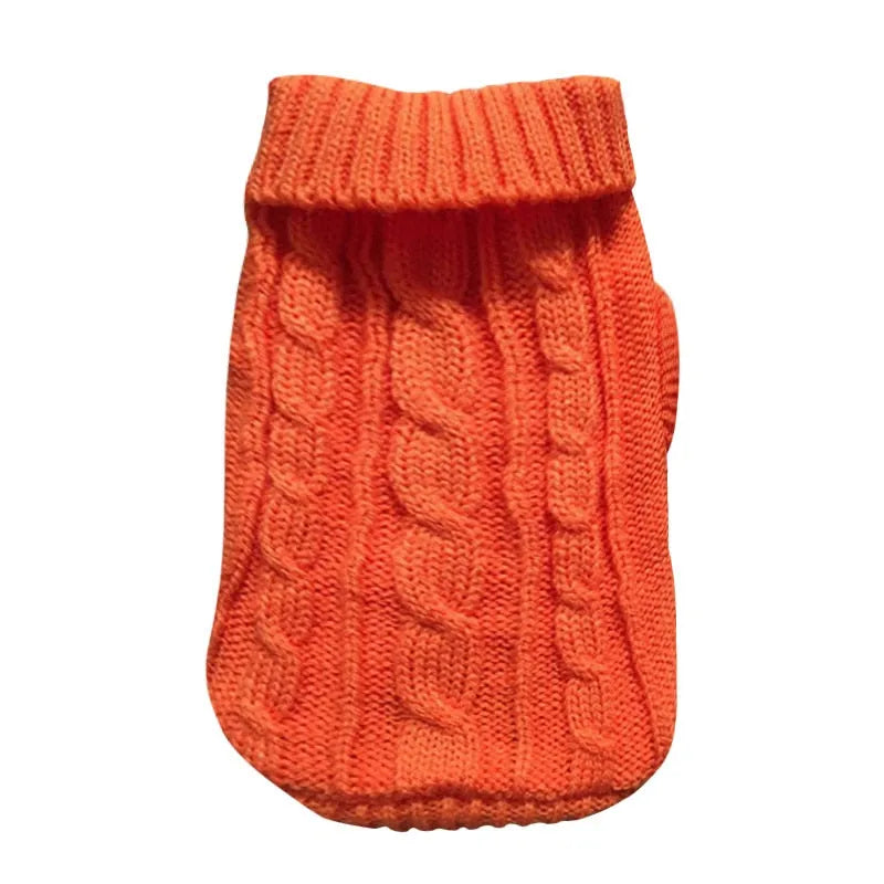 pull pour chats et chiens, chats sphynx orange