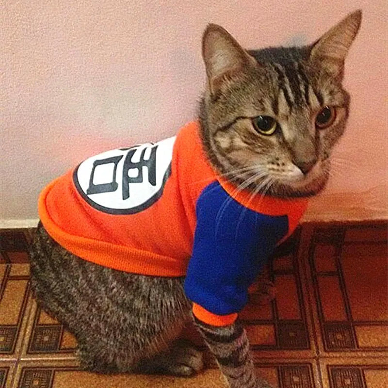 sweat pour chat dbz vêtement