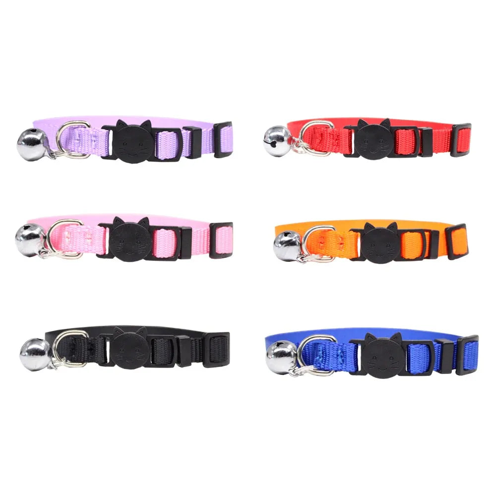 collier à personnaliser pour chat couleurs | Chic et Chat