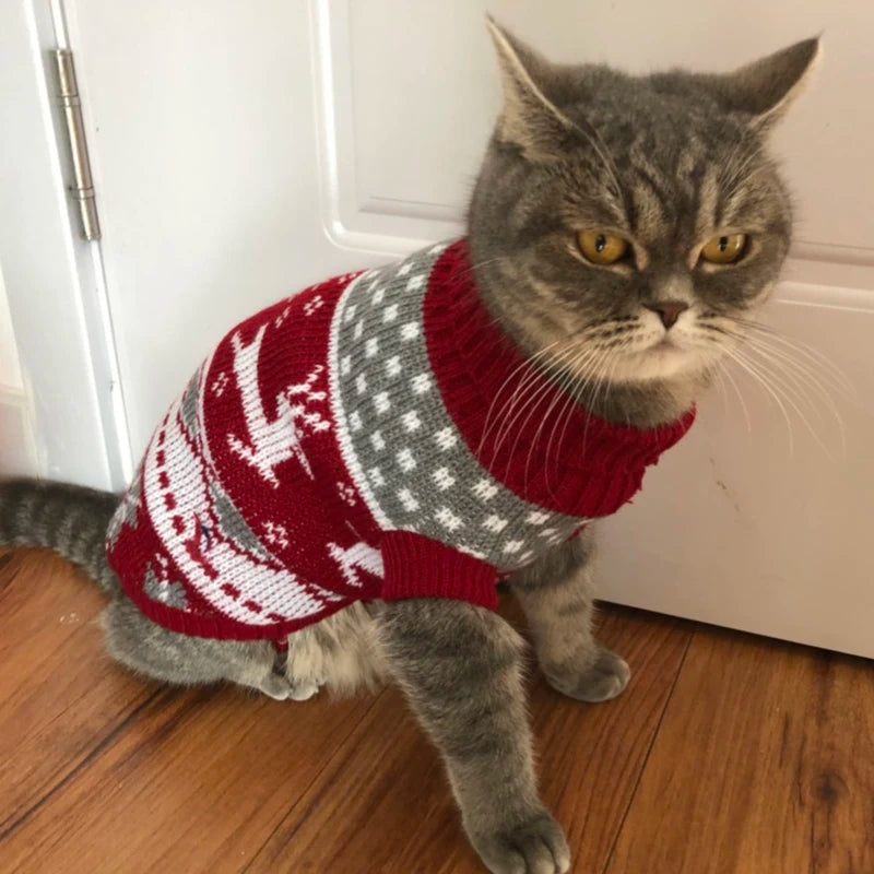 Warmer, bequemer Winterpullover für Katzen - Grauer Hase | Chic et Chat