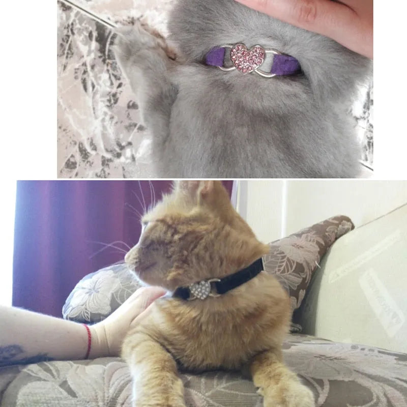 collier coeur pour chat