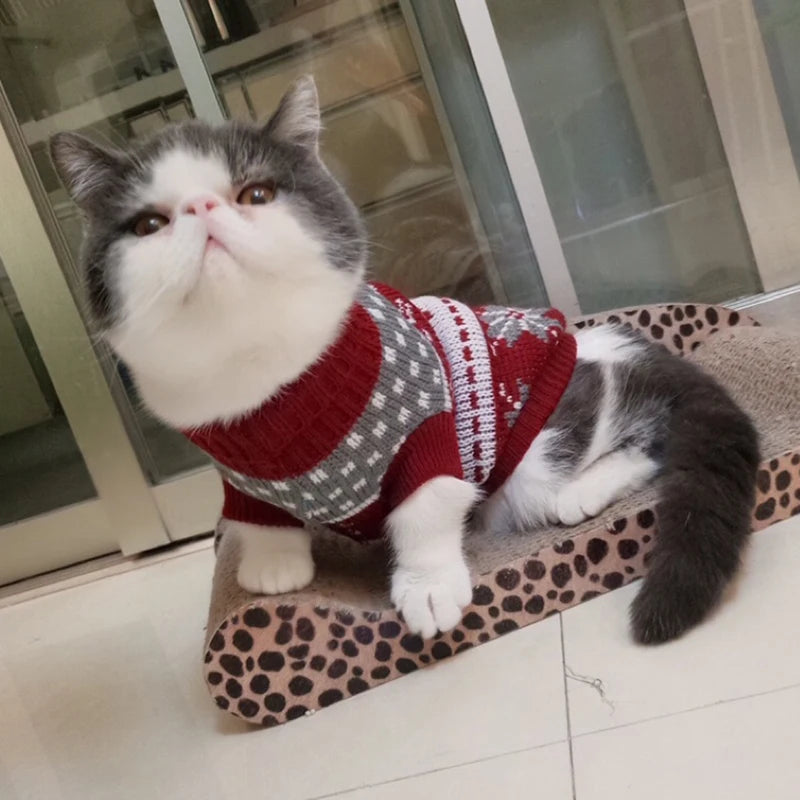 Warmer, bequemer Winterpullover für Katzen - Grauer Hase | Chic et Chat