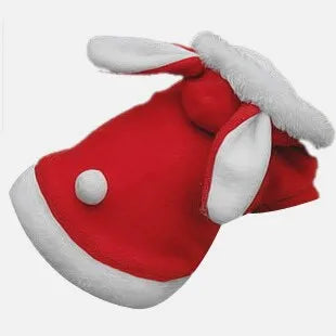 veste rouge lapin pour chat