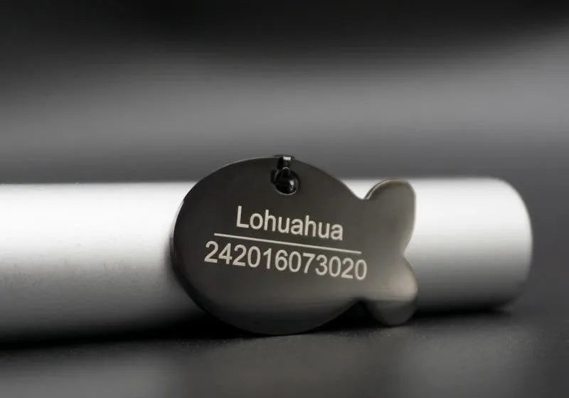 chapa personalizable para gato negra | Chic et Chat