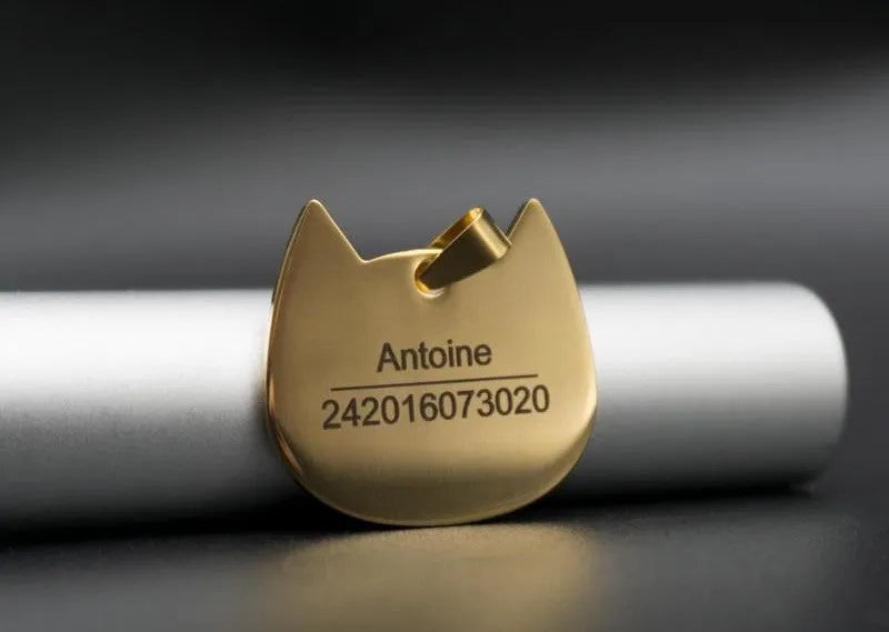médaille dorée chat collier