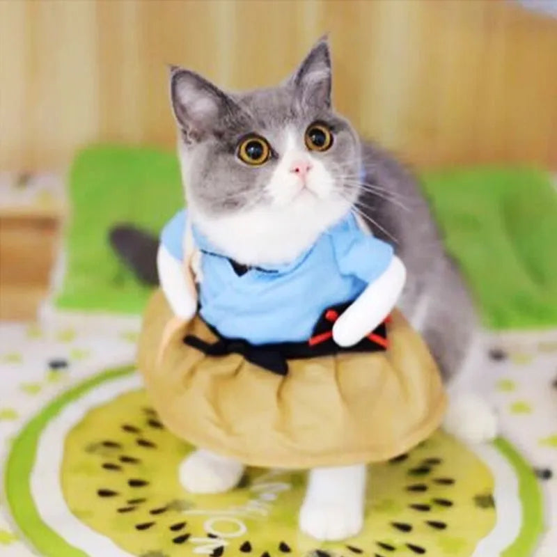 Samurai Katzenkostüm | Chic et Chat