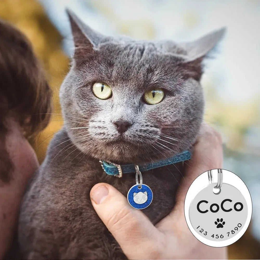 chapa azul grabada para gato | Chic et Chat