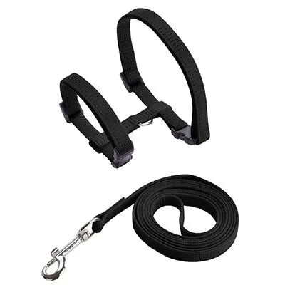 Black cat leash | Chic et Chat