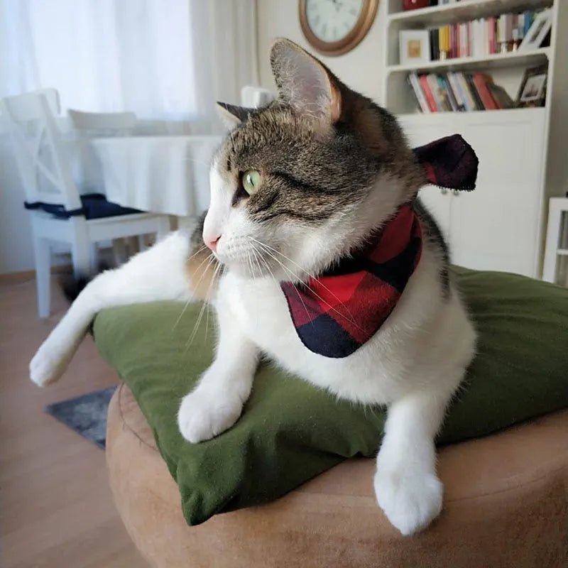 Rot kariertes Bandana für Katzen | Chic et Chat