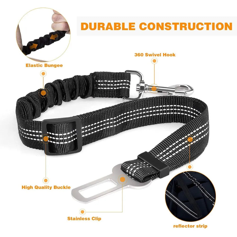 Affordable cat leash | Chic et Chat