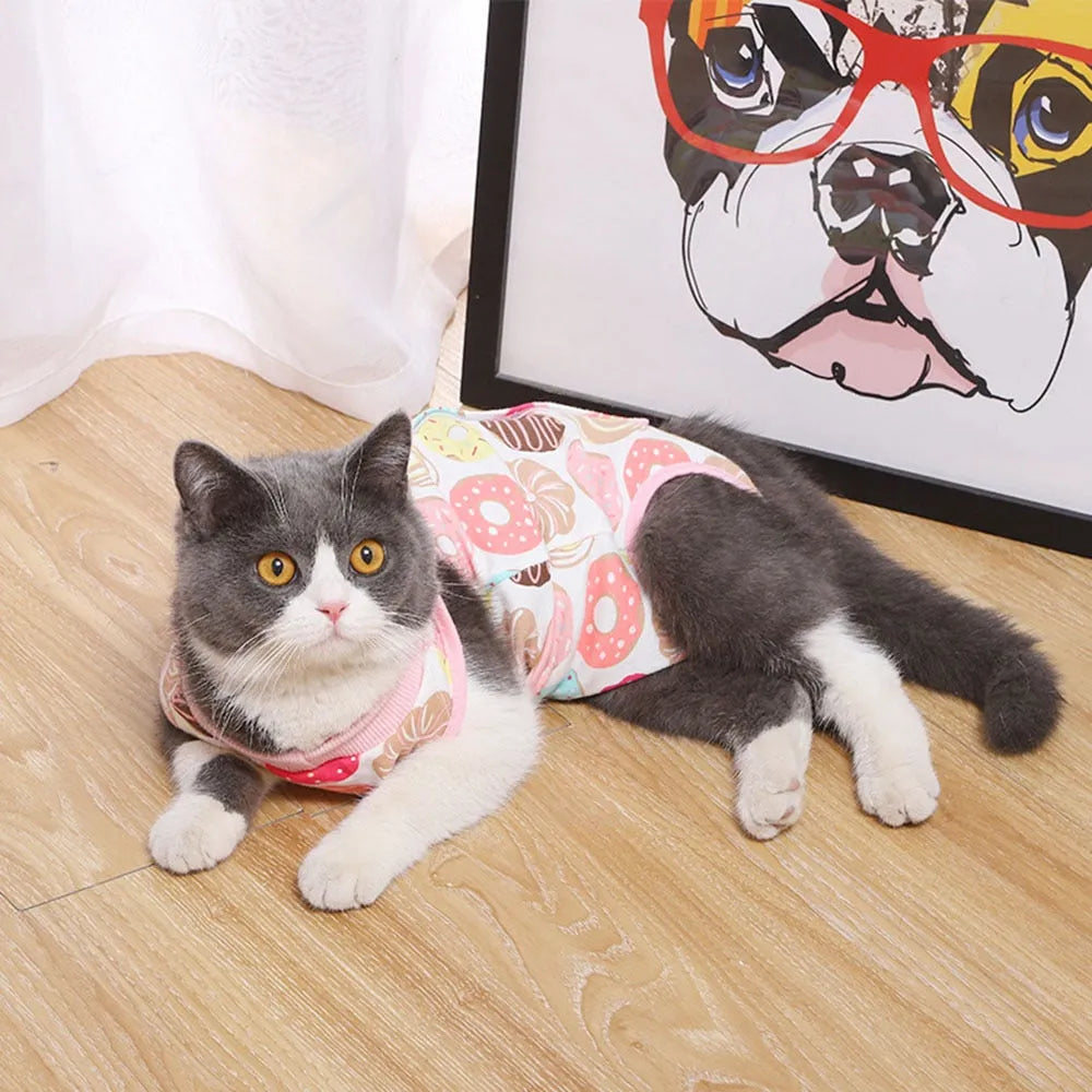 vêtement récupération pour chat