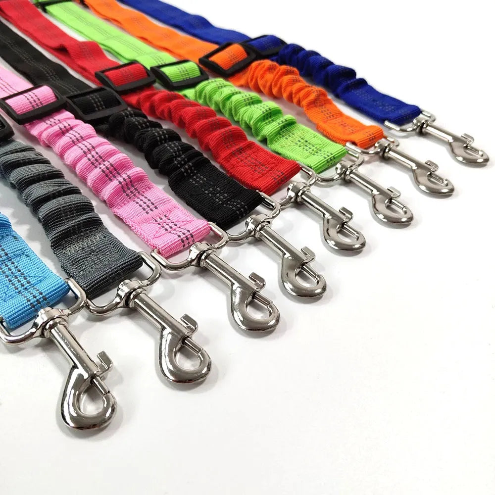 Quality cat leash in several colors | Chic et Chat