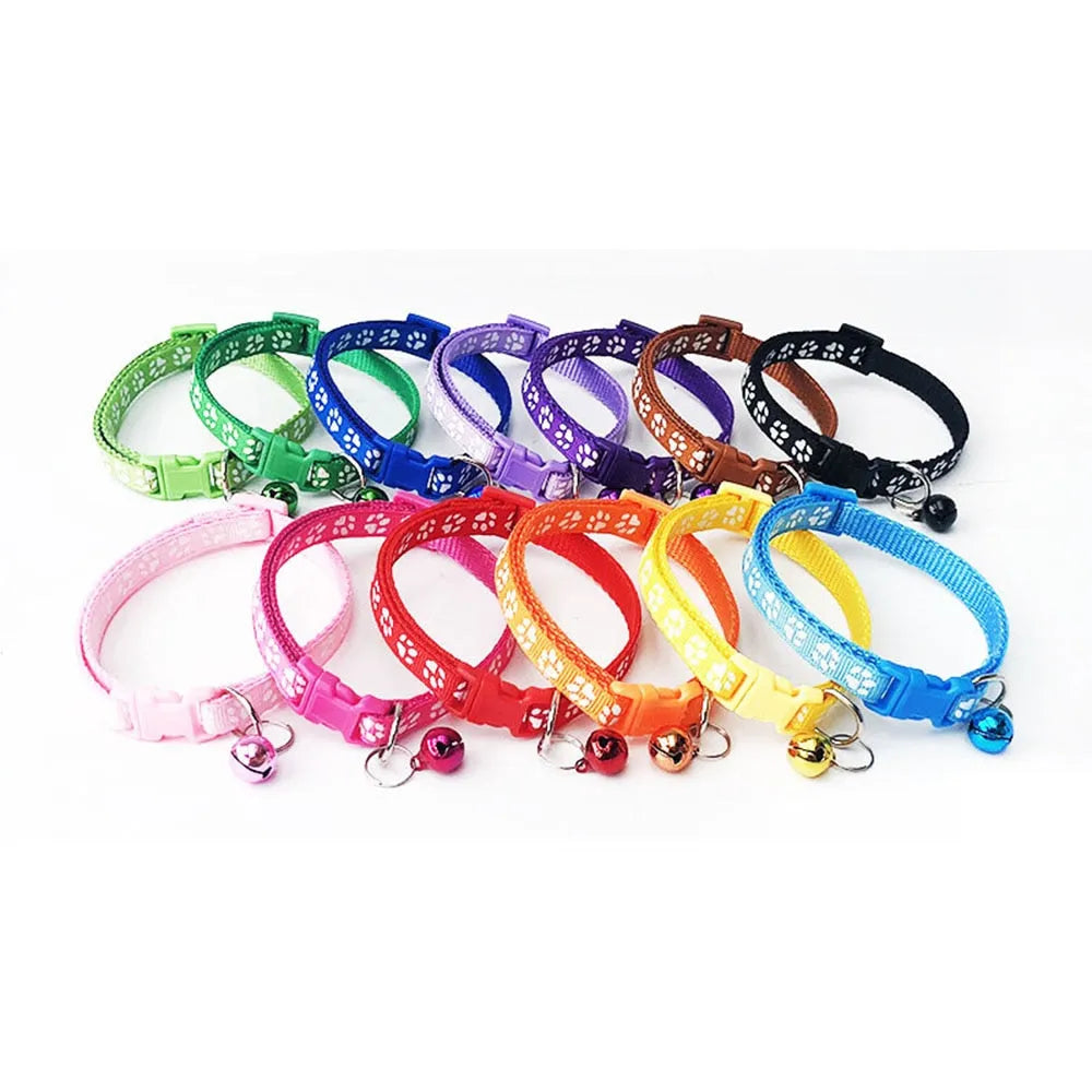 collier pour chat