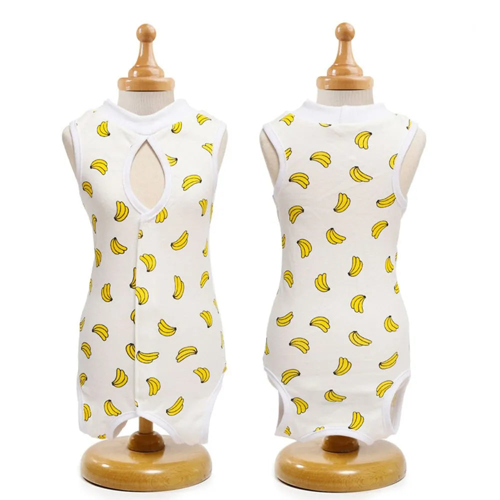 vêtement récupération pour chat jaune