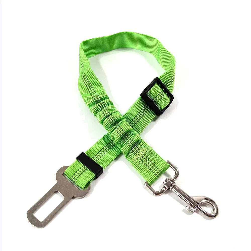 Gorgeous green cat leash | Chic et Chat