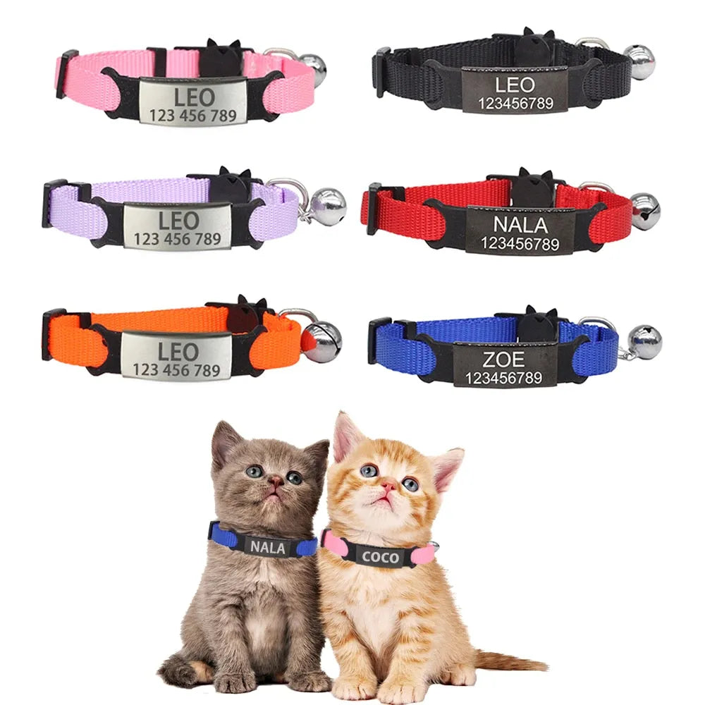collier anti fugue à personnaliser pour chat | Chic et Chat