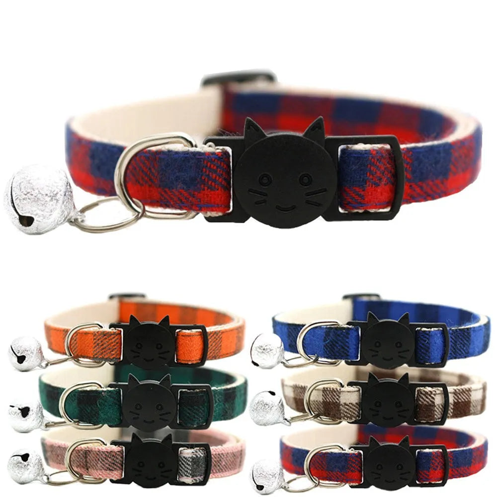 collier personnalisé pour chat