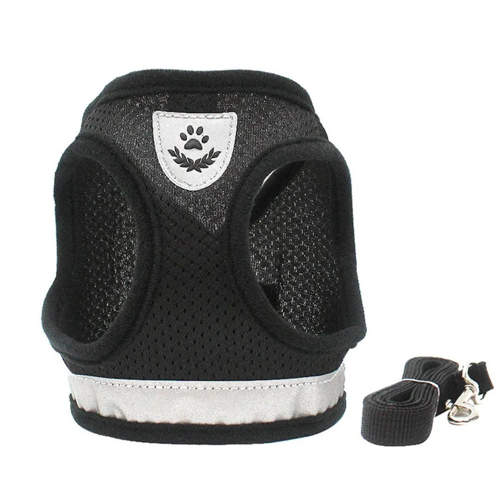 Practical black cat harness and leash | Chic et Chat