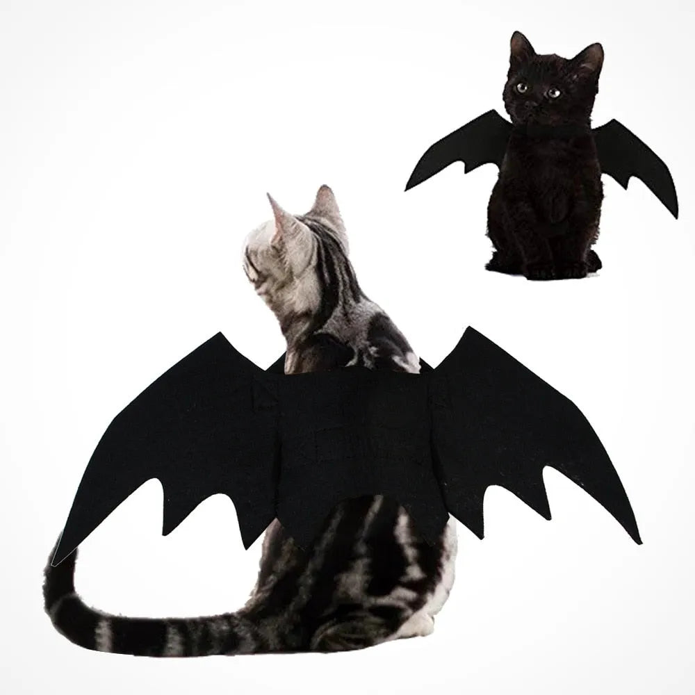 Fun and funny bat cat costume | Chic et Chat