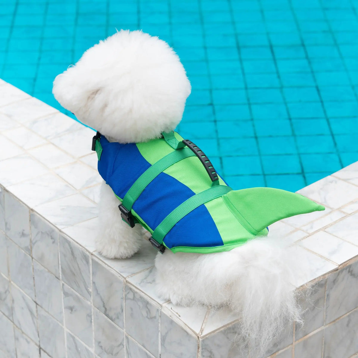Gilet de sauvetage pour chat