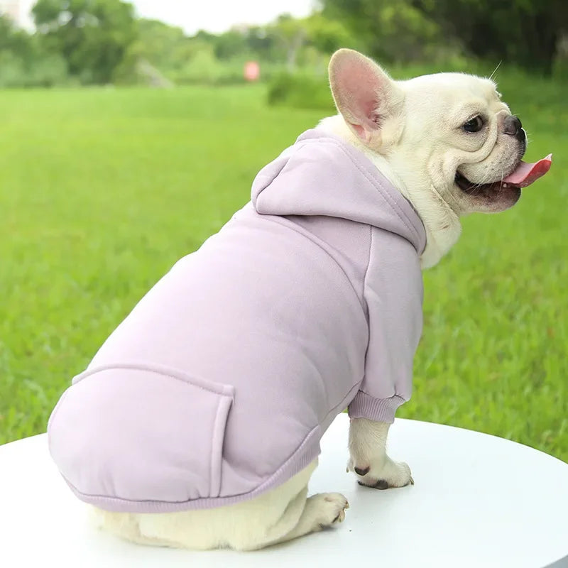 Sweat à capuche pour chat