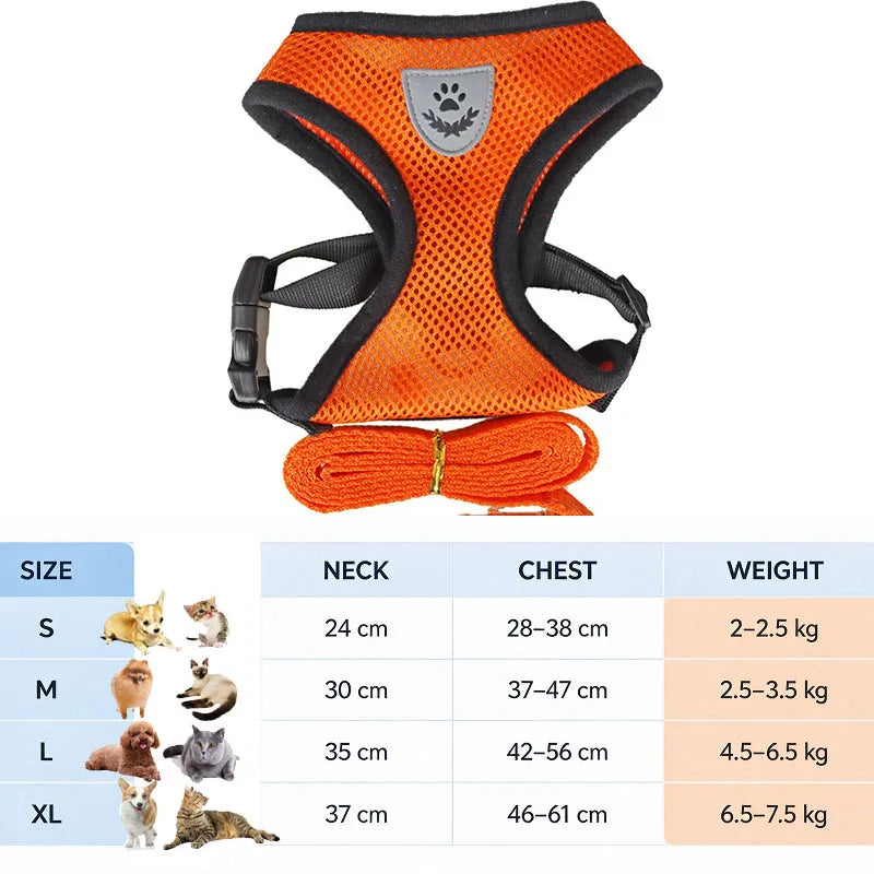 Harnais pour Maine Coon orange
