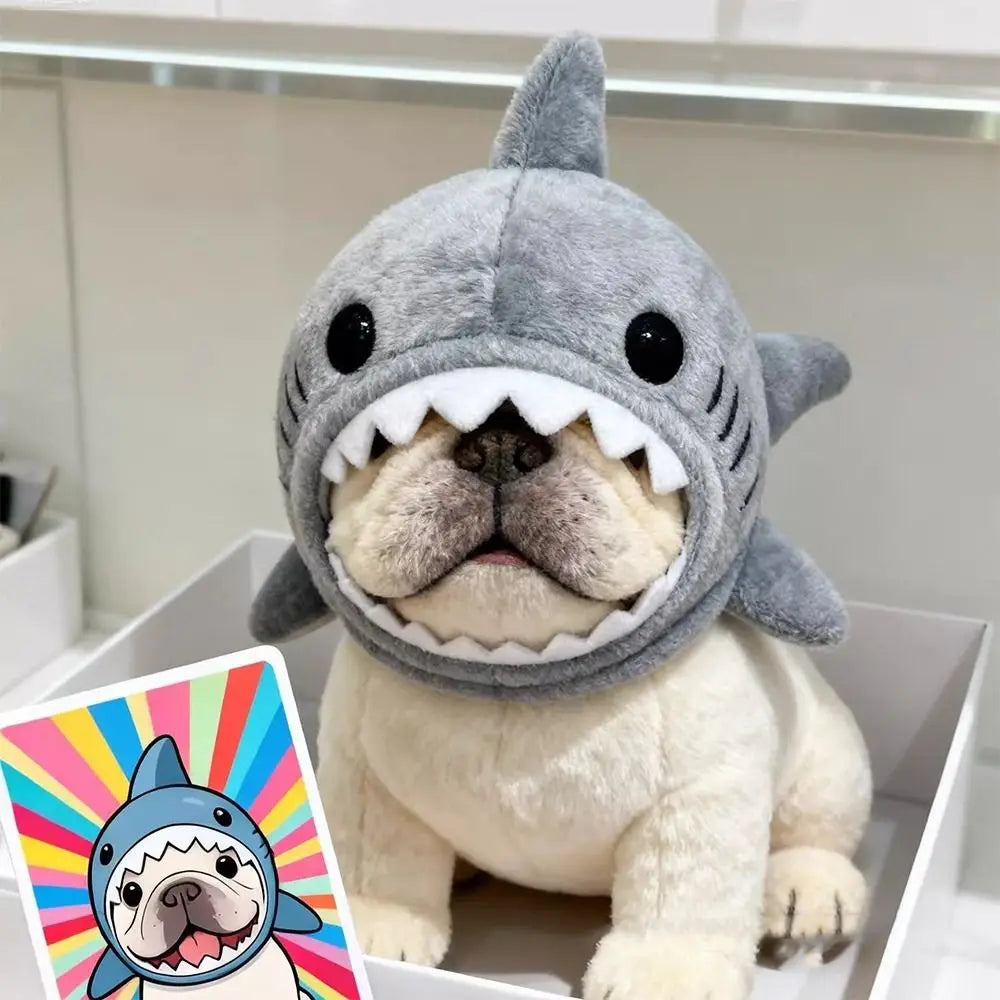 Bonnet requin en peluche porté par un petit bouledogue | Chic et Chat